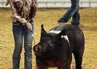 Cass County Livestock Show 2023