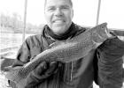 Branson, boogie, and bass equal great trip