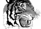 Bynum lifts Tigers to win over Cardinals on sideline trey