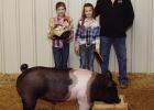 Cass County Livestock Show 2023