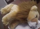 Linden Lions Club donates comfort for kids