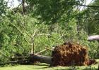 Microburst causes damage throughout county