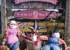 Congratulations to the Scarecrow Days winners!