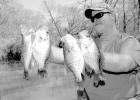 Geared For Crappie