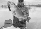 TESTING NEW WATER