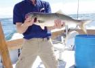 Fishing America