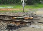 Train stopped for six hours after hitting downed trees