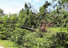 Microburst causes damage throughout county