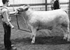 Two Queen City students place well at Winter Livestock Show