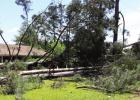 Microburst causes damage throughout county