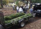Wreaths for Courtland Cemetery